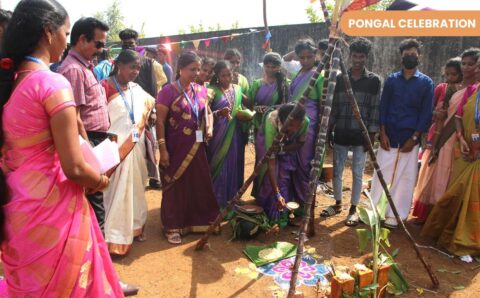 Pongal-3